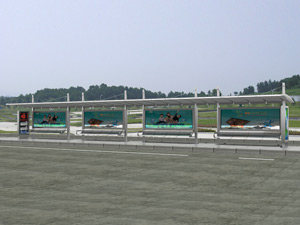 ���P䓺�܇ͤ